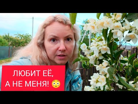 Видео: VLOG: КОМУ ЭТО ПОНРАВИТСЯ? 🤔 20.05.2024