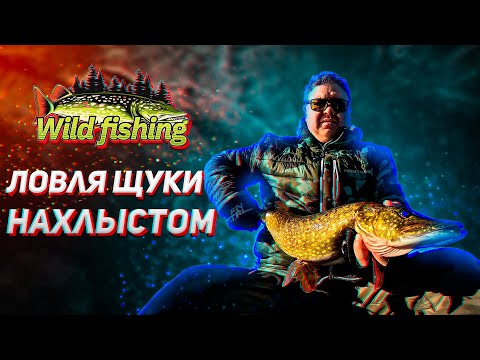 Видео: Как ловить щуку нахлыстом. #ловлящуки