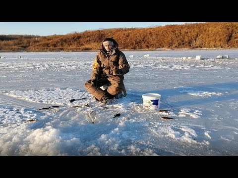 Видео: Зимняя рыбалка на камбалу и навагу. Рыбалка в Тавричанке. Море рыбы. Бешенный клёв. Поймал ведро.