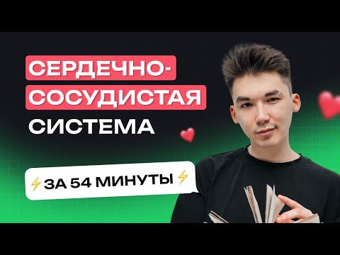 Видео: Сердечно-сосудистая система (короткометражка). Тест-Драйв, занятие №1