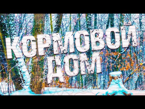 Видео: Страшные истории на ночь-Кормовой дом