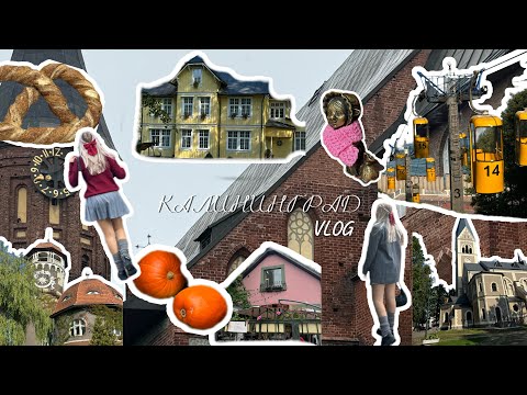 Видео: что посмотреть в Калининграде? Куршская коса | Зеленоградск | Светлогорск 