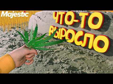 Видео: Мои первые дни на Majestic RP | GTA 5