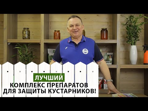 Видео: Как защитить ягодные и декоративные кустарники от вредителей? Используйте этот комплекс препаратов!