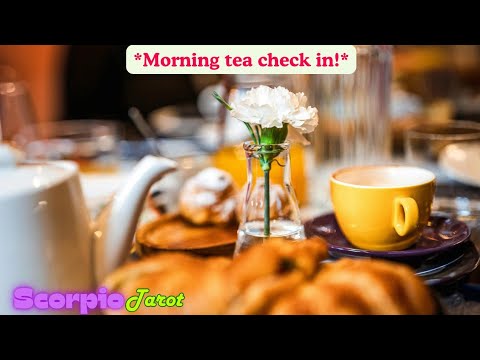 Видео: Скорпион *Утреннее чаепитие!*