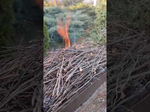 Видео: 4 жовтня 2025 р.