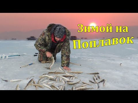 Видео: Рыбалка на Самоделки (Комбайны). Ловля Наваги в Тавричанке.