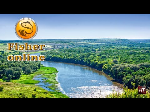 Видео: Fisher Online - Река Дон и другое) # 43