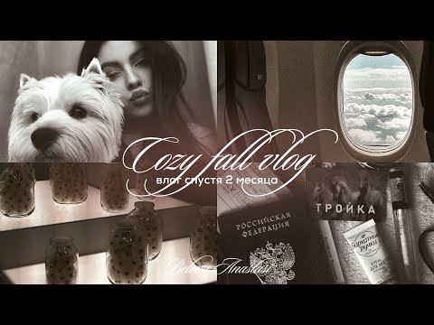 Видео: уютный осенний влог в Москве & выставка современного искусства 