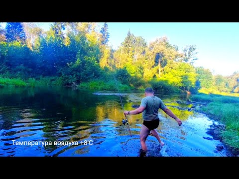 Видео: Спиннинг Осенью на РечнЫх Перекатах. ВиталЬкина Кухня