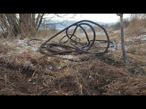 Видео: Толстый, четырех жильный, медный кабель уходит в землю!!!Я его тяну а он не кончается!!!