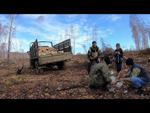 Видео: На ГАЗ-66 в лес за дровами / Что проще: заплатить за готовые дрова или заготовить их самому?