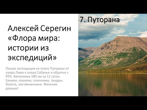 Видео: Алексей Серегин "Зональность + Плато Путорана"