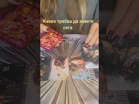 Видео: Какво трябва да знаете 