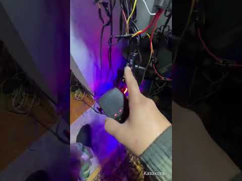 Видео: #дусяшым 