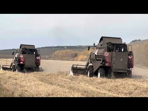 Видео: 25 сентября 2025 г.