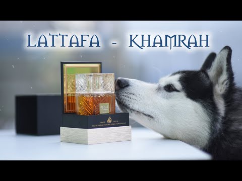 Видео: LATTAFA - KHAMRAH. ПЕРВЫЕ ВПЕЧАТЛЕНИЯ ОБ АРОМАТЕ. Сочно, вкусно, ликерно.