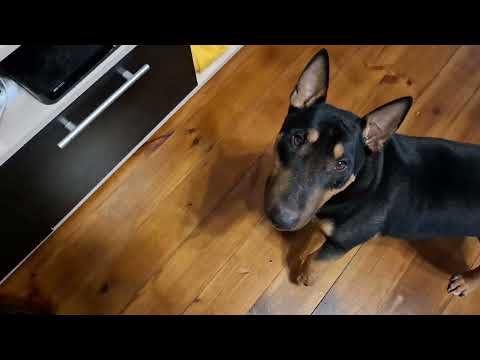 Видео: Требование Гаса выполнила.  Про обогреватели. Первый раз монтировалии окно