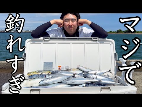 Видео: Тот морской район... просто безумие.