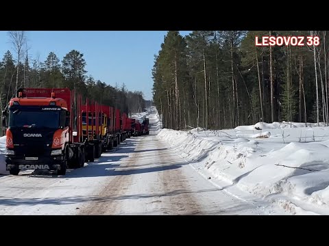 Видео: ЗАПЕРДОС на зимнике // ЗАПЕРДОС в деляне