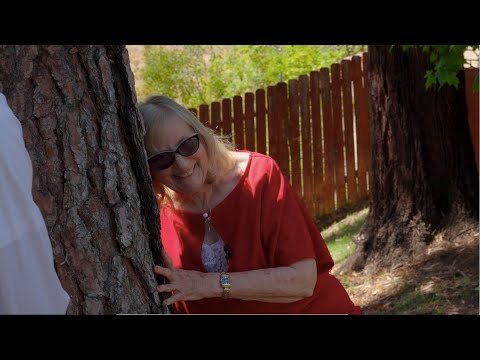 Видео: Уничтожить деревья или рисковать катастрофой: наука против истребления?