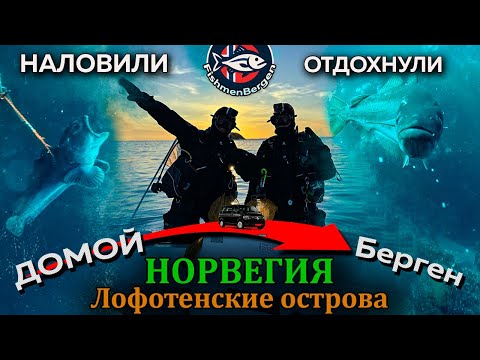 Видео: Самый КРУТОЙ ДАЙВИНГ на ЛОФОТЕНАХ Норвегия | поймали ЗУБАТКУ ТРЕСКУ | ПОСЛЕДНИЙ день на СЕВЕРЕ.
