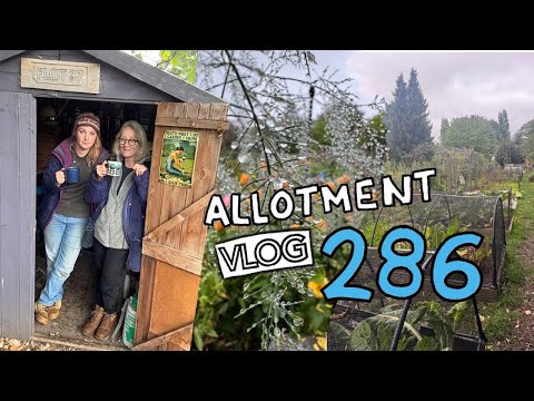 Видео: Влог о садоводстве, эпизод 286 — Это последний из Помидоров?! || Участок 37