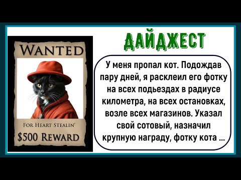 Видео: 🏠Как У Меня Кот Пропал! Сборник Лучших Смешных Историй Из Жизни! Юмор! Дайджест!
