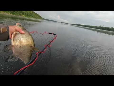 Видео: В поисках капризного леща. Рыбалка на бортовые удочки