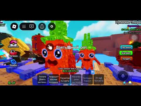 Видео: 13 ноября 2025 г.