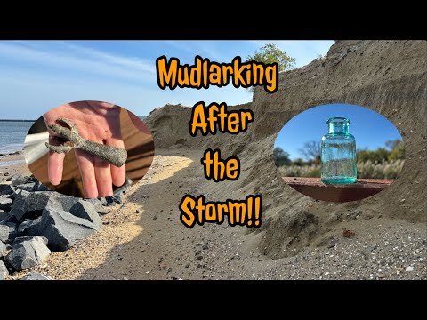 Видео: Грязевик после шторма в районе Бэйшор