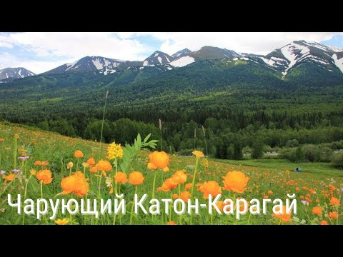 Видео: Чарующий Катон-Карагай | Health resort