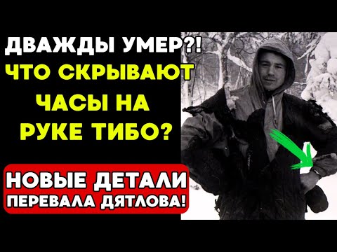 Видео: ЭТА ДЕТАЛЬ на теле ТИБО НЕ ДАЁТ ПОКОЯ исследователям!