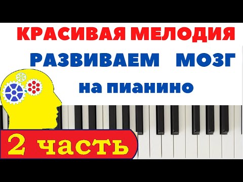 Видео: Красивая мелодия. ПРОСТО для НАЧИНАЮЩИХ. 2 ЧАСТЬ (MUSE Newborn)