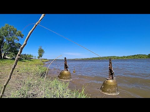 Видео: 40 кг НА ПОСТАВУШКИ ЖМЫХОВКИ. Сазан и карась на жмыховки. Ловля сазана и карася.
