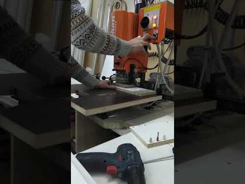 Видео: Блюм минипресс с торцевым узлом.