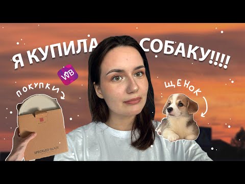 Видео: VLOG: Я купила щенка / обзор из KUCHENLAND, WB/ навожу порядок дома 🛁 #влог #обзор #распаковка #дом 