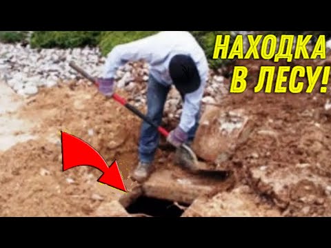 Видео: НАХОДКА под Старой СОСНОЙ Порадовала БАТЮ, Нашли Древний ДОМ ЛЕСНИКА в Лесу по Карте, Коп УДАЛСЯ!!!