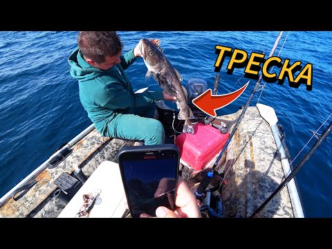 Видео: Хотели поймать окуня, но ловилась треска | Морская рыбалка на лодке