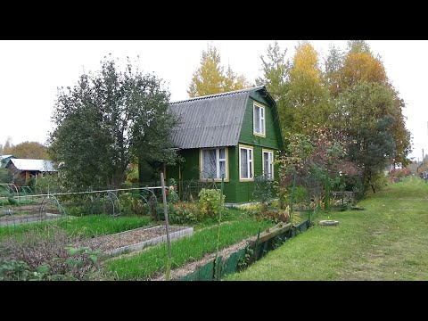 Видео: Обзор дачи в октябре 2021 Кострома