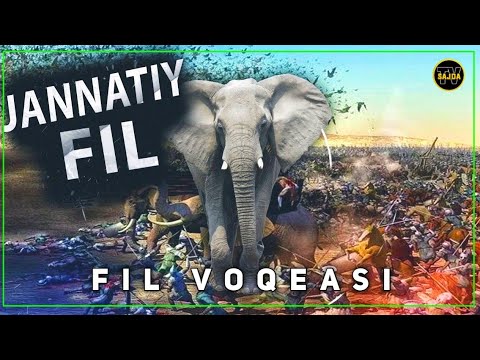 Видео: Абдуллоҳ домла ~  Фил воқеаси ҳақида  | Abdulloh domla ~ Fil  voqeasi haqida...2024 °