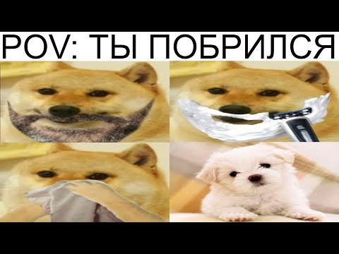 Видео: Мемы | Дневная подборка мемов 596