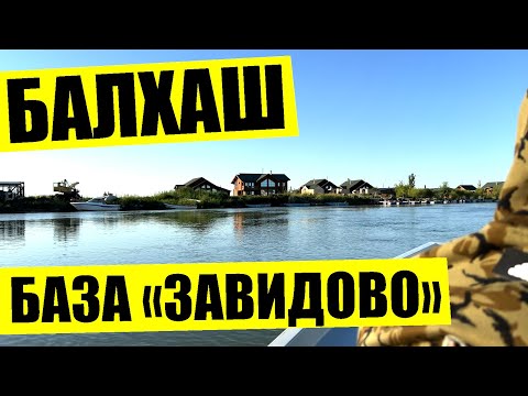 Видео: Рыбалка на Балхаше, рыболовная база "Завидово", ловим дикую рыбу. Кучерявая рыбалка в Казахстане