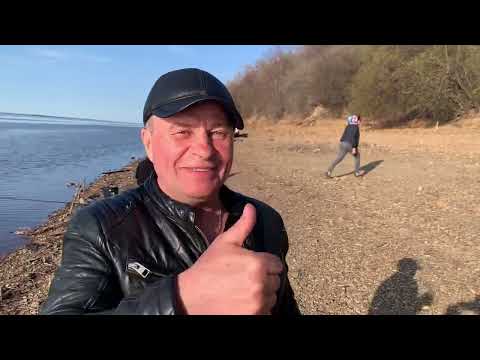 Видео: Жор сазана 04.05.2022 Вятское
