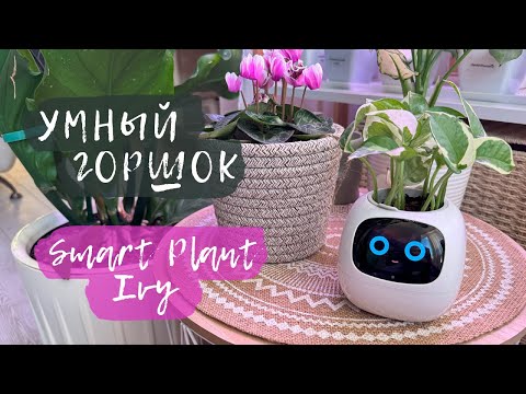 Видео: Умный горшок | Smart Plant Ivy
