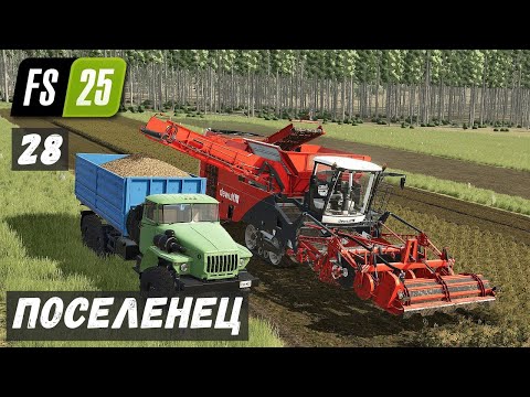 Видео: ПОСЕЛЕНЕЦ в FS 25 - Убираю КАРТОФЕЛЬ.  Новый УРАЛ # 28