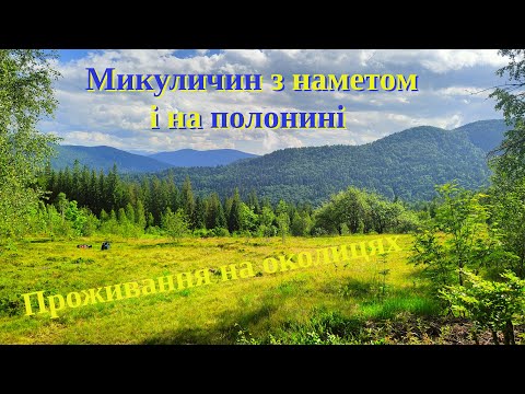 Видео: Микуличин | В наметі на околицях | Полонина Свинянка  з собаками | Не мандри, а життя | Філософське