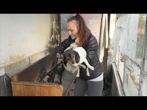 Видео: Семейство остана без дом след пожар в Горно Ботево