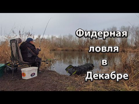 Видео: Зимний фидер. Рыбалка на фидер в Декабре.