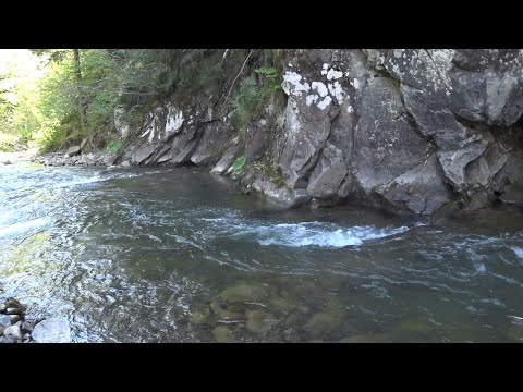 Видео: Туризм і ловля форелі в Карпатах